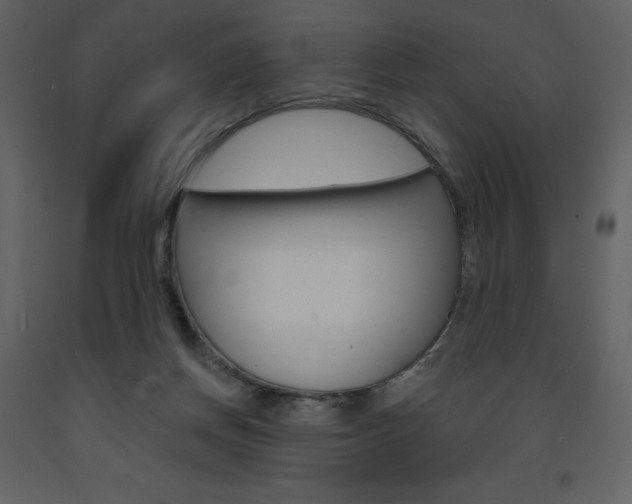 X0000094070166200710191004