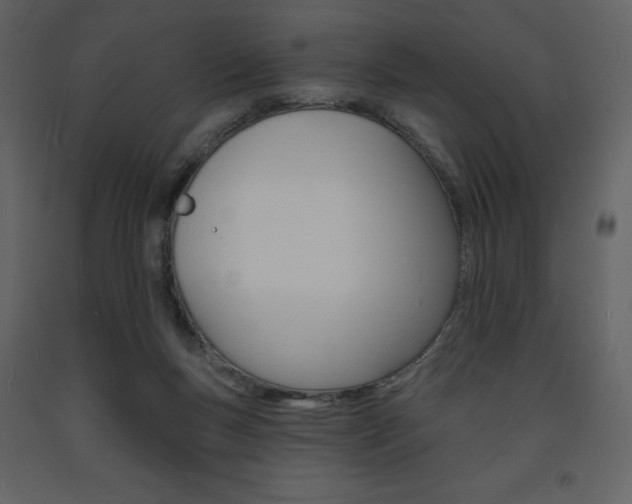 X0000094070167200710191004