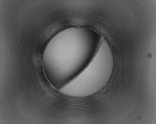 X0000094070168200710191004
