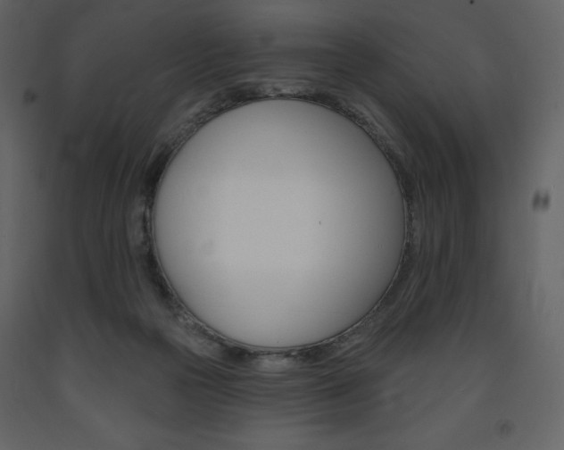 X0000094070169200710191004