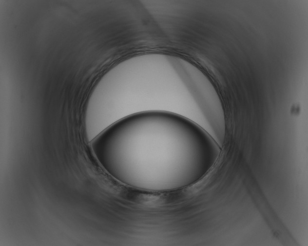 X0000094070170200710191004