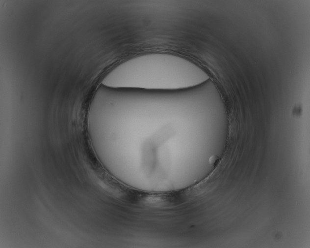 X0000094070171200710191004