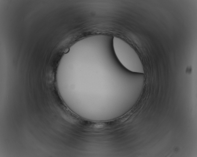 X0000094070173200710191004