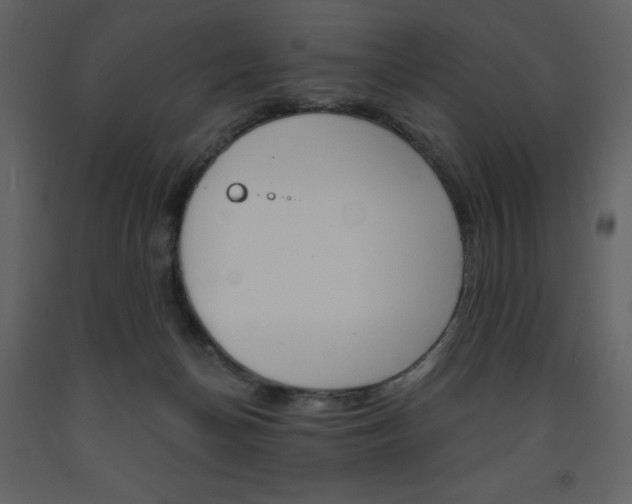 X0000094070174200710191004