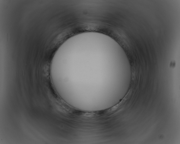 X0000094070175200710191004