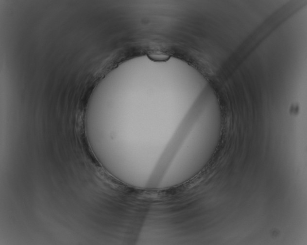 X0000094070177200710191004