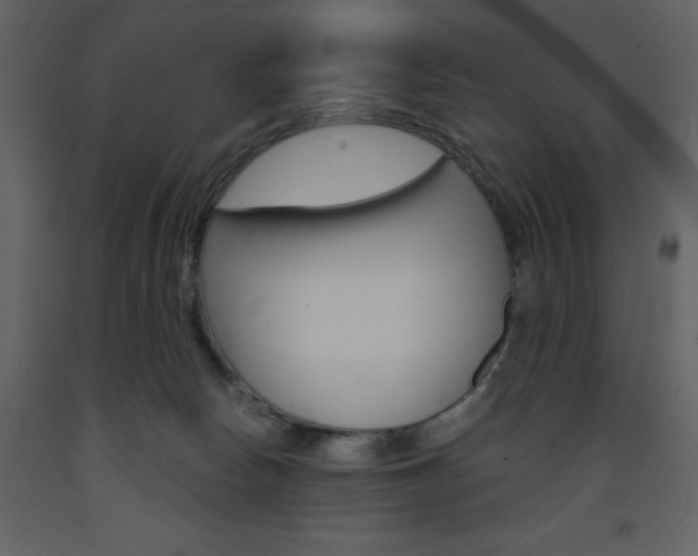 X0000094070178200710191004