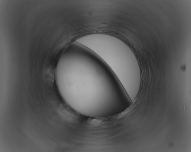 X0000094070180200710191004
