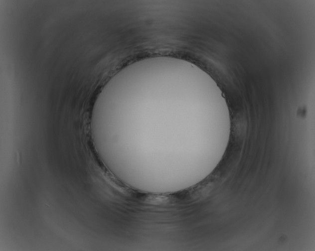 X0000094070181200710191004