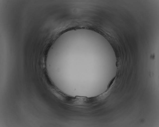 X0000094070182200710191004