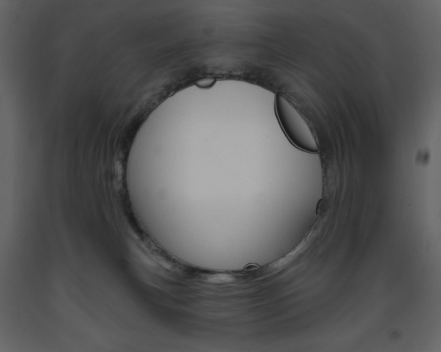 X0000094070183200710191004