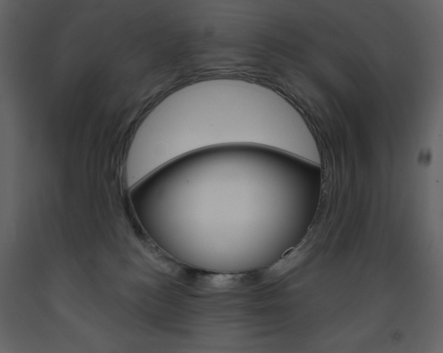 X0000094070184200710191004