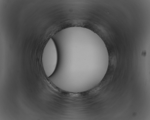 X0000094070185200710191004