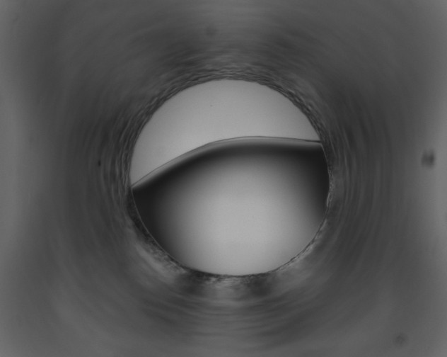 X0000094070186200710191004