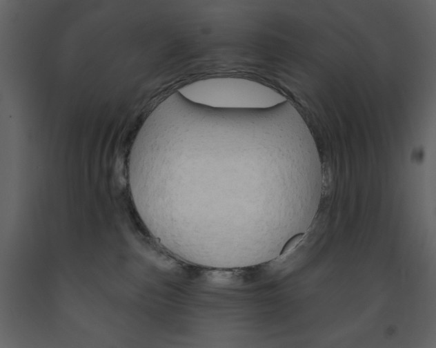X0000094070187200710191004