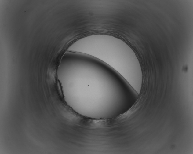 X0000094070188200710191004