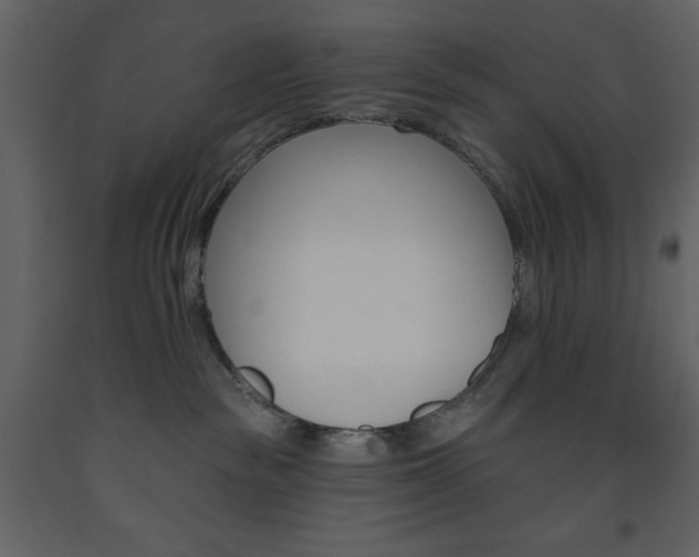 X0000094070189200710191004