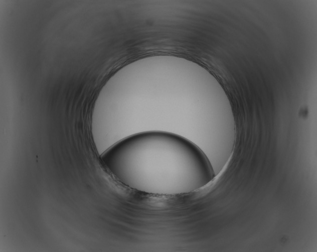 X0000094070190200710191004