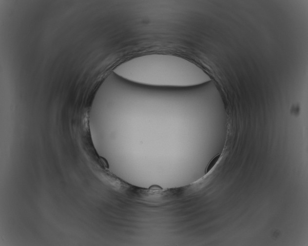 X0000094070191200710191004