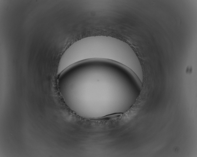 X0000094070192200710191004
