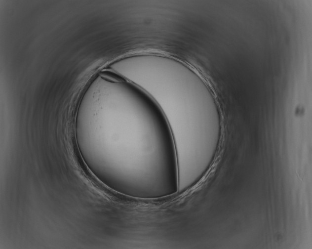 X0000094070193200710191003