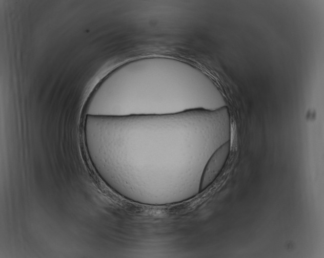 X0000094070195200710191003