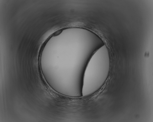 X0000094070196200710191003