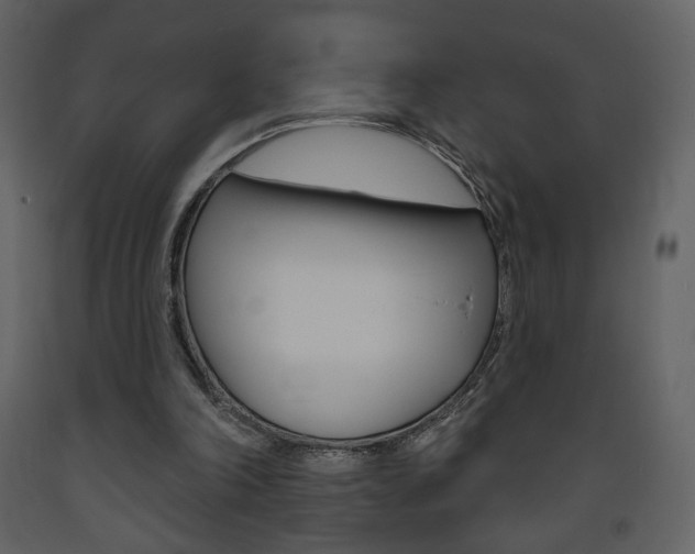 X0000094070198200710191003