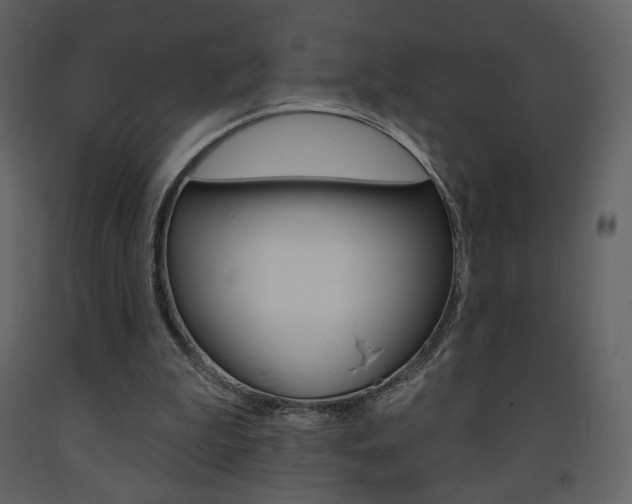 X0000094070199200710191003