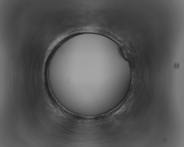 X0000094070200200710191003