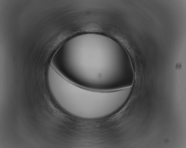 X0000094070201200710191003
