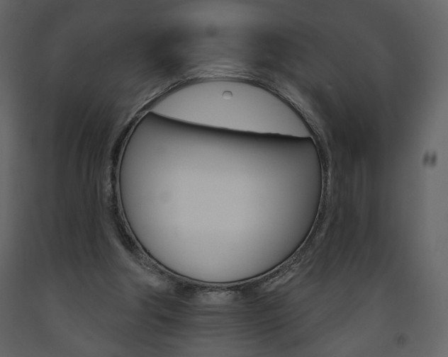 X0000094070202200710191003