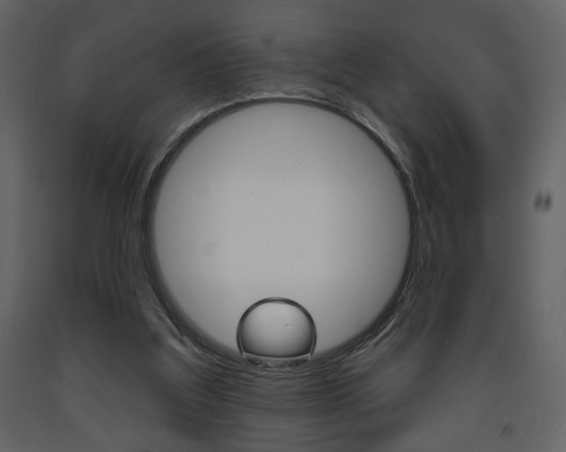 X0000094070203200710191003