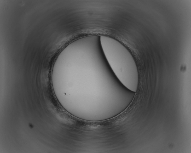 X0000094070206200710191003