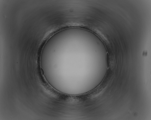 X0000094070207200710191003
