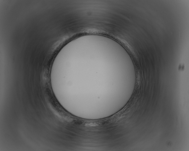 X0000094070208200710191003