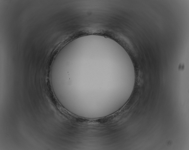 X0000094070210200710191003