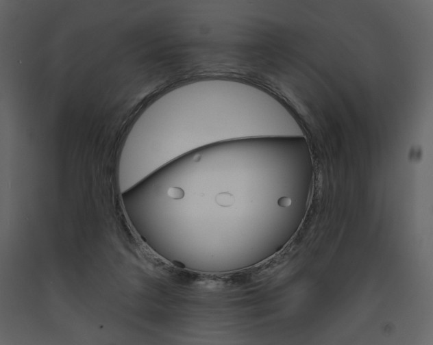 X0000094070211200710191003