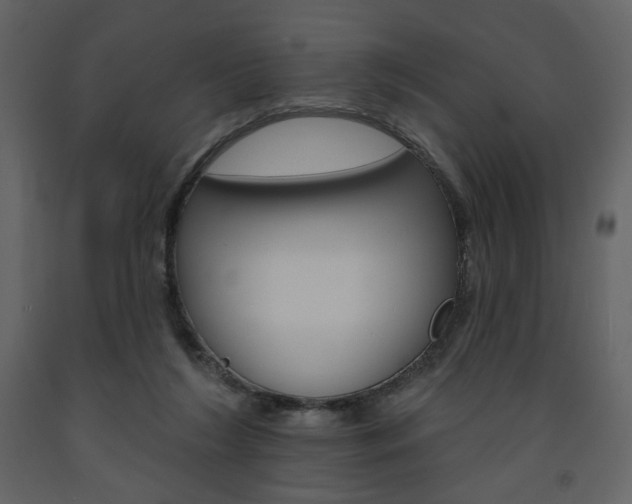 X0000094070212200710191003