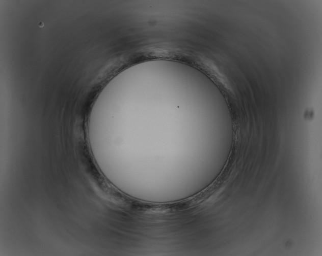 X0000094070213200710191003