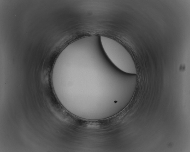X0000094070214200710191003