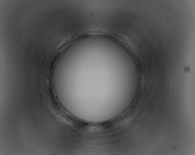 X0000094070215200710191003