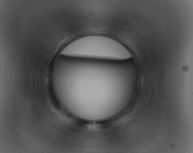 X0000094070216200710191003