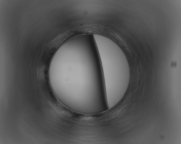 X0000094070217200710191003
