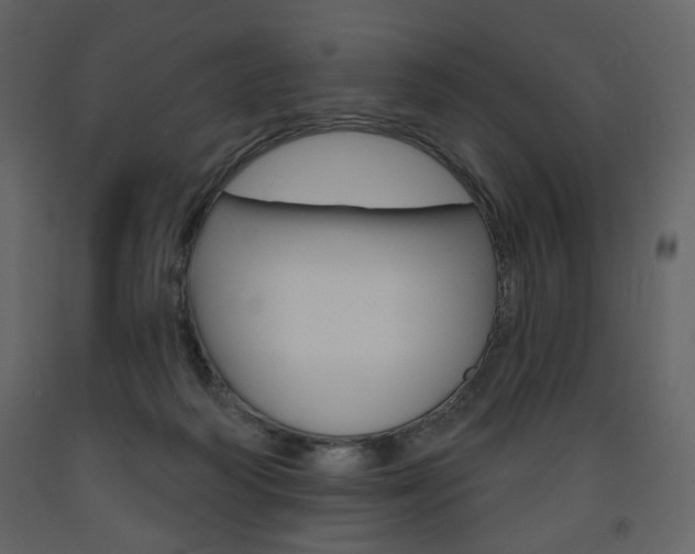X0000094070218200710191003
