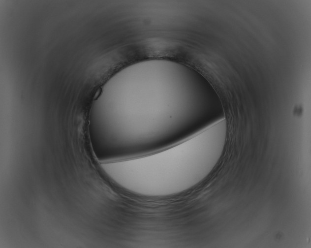 X0000094070219200710191003