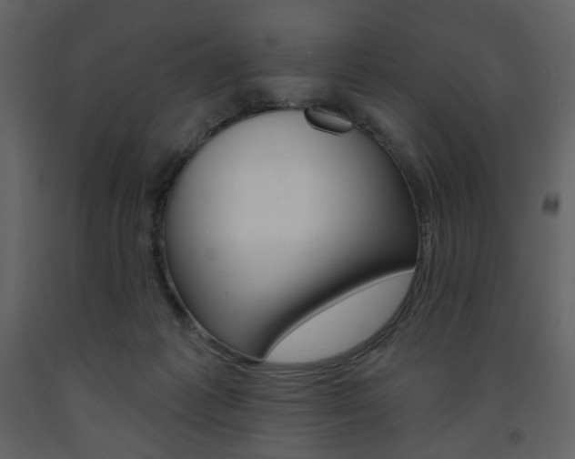 X0000094070221200710191003