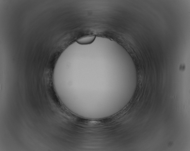X0000094070222200710191003