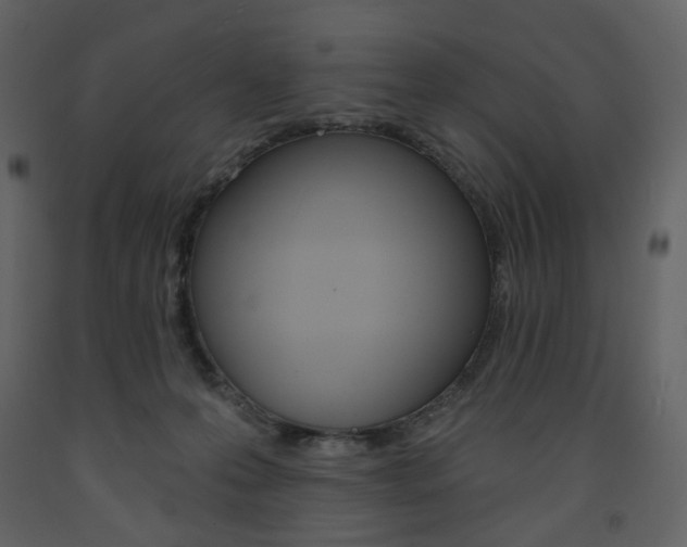 X0000094070223200710191003