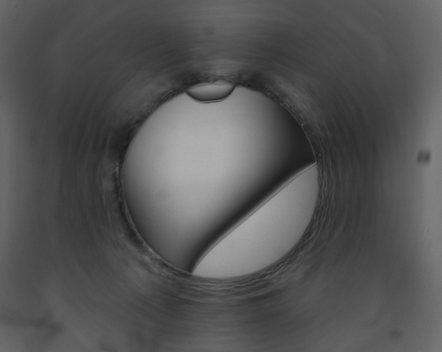 X0000094070225200710191003